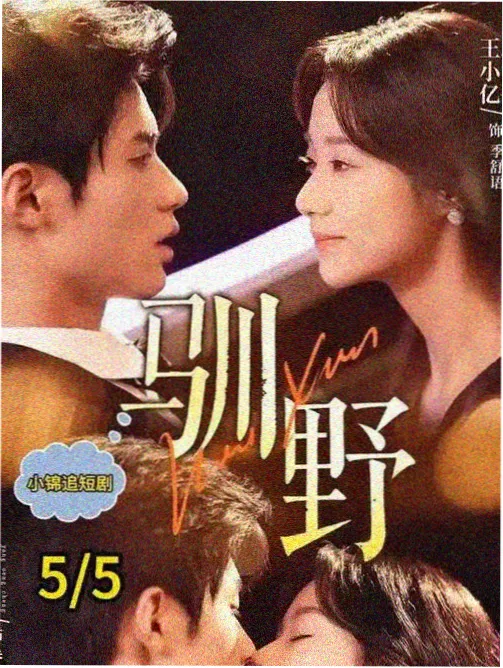 双城谜案 罪案剧在线观看