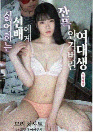 白塔之下 热播电视剧在线看